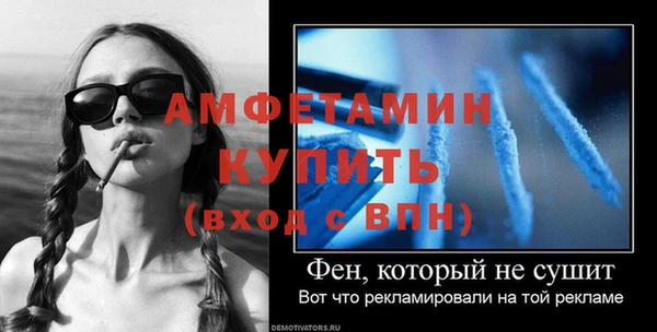 шишки Пестово