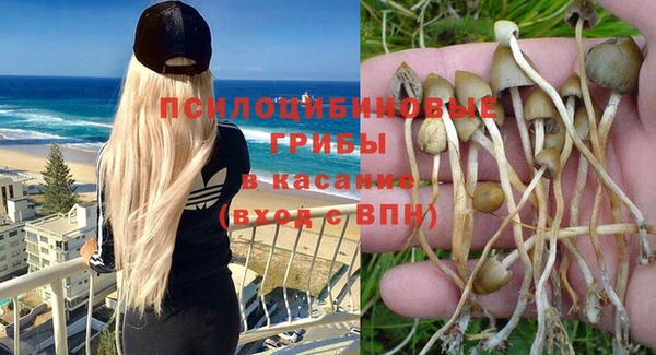 шишки Пестово