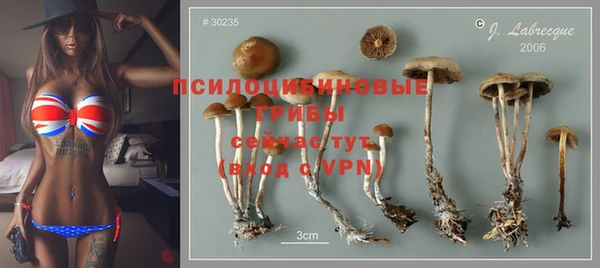 гашиш Пересвет