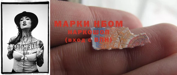 шишки Пестово