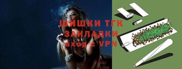 шишки Пестово