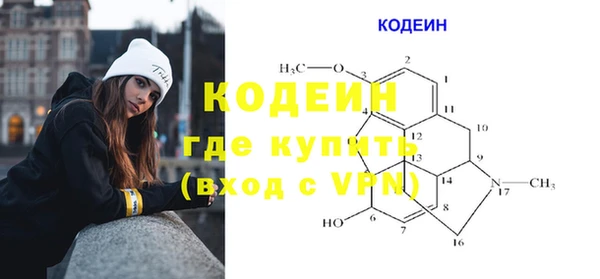 шишки Пестово
