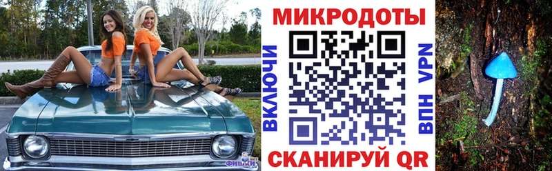 Галлюциногенные грибы мухоморы  даркнет сайт  Спас-Деменск 